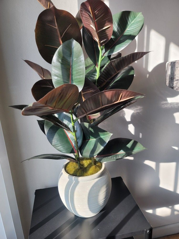 BEAUTIFUL FAKE PLANT LOOKS SO SO REAL NEW ATRACTATIVE 26"TALL