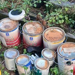Left Over Paint Still Good 