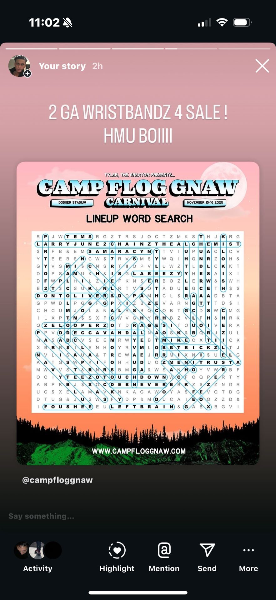 CAMP FLOG GNAW GA WRISTBAND 2025