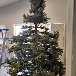 Very nice Christmas tree 9 feet tall