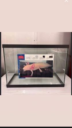 20 gallon fish tank