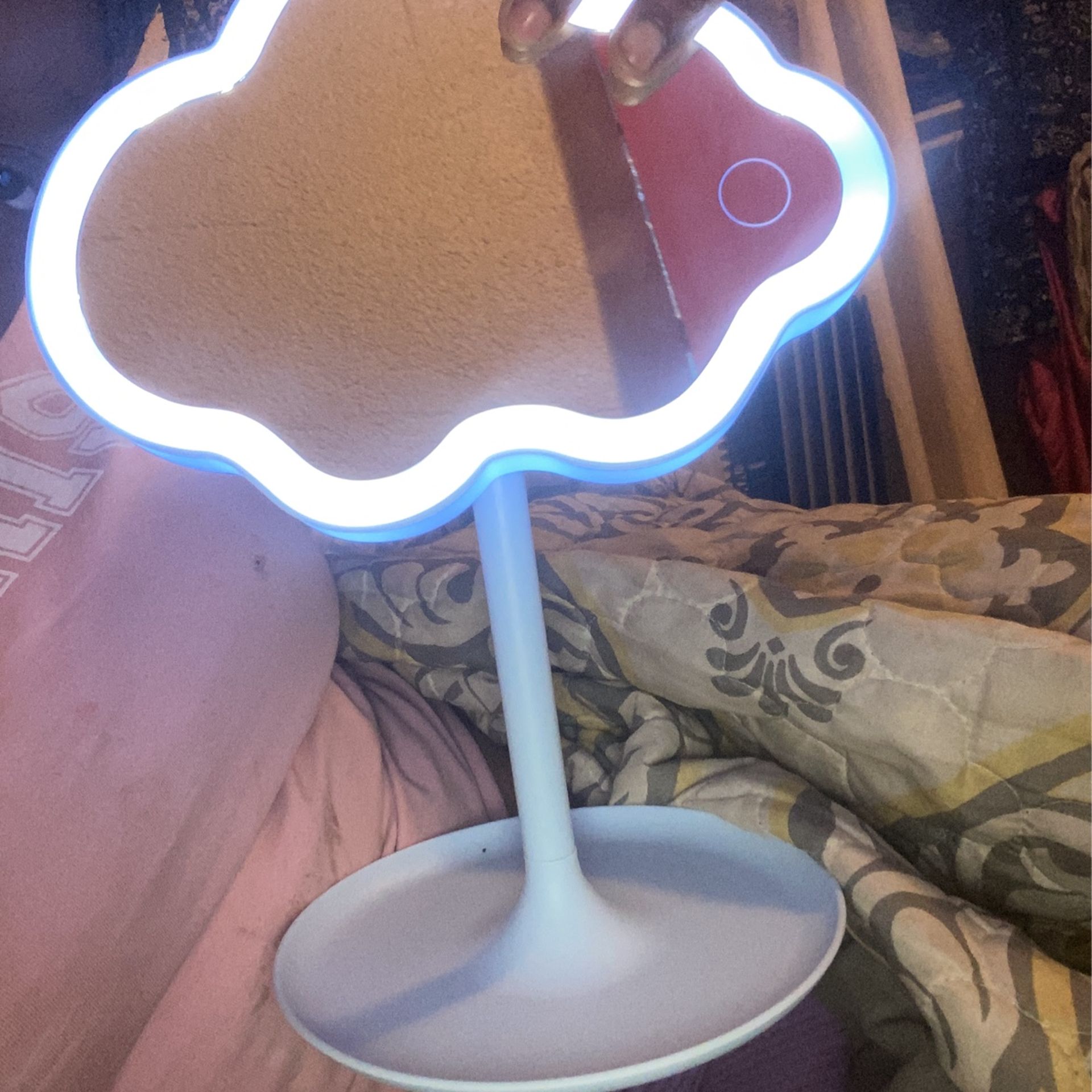 A Light Up Mirror