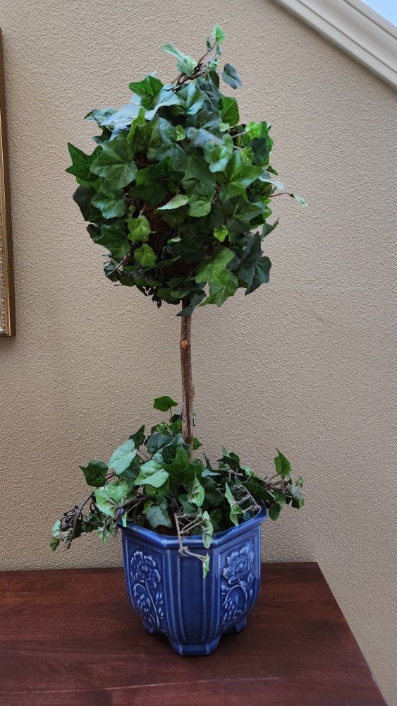 Silk/faux ivy topiary in blue pot