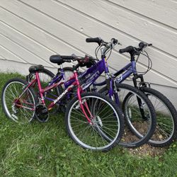 Three Bicycles - Free to a Good Home