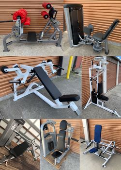 Seated Dip, Shoulder Press, Leg Press, Olympic Incline Chest Press, Pec Fly/ Rear Delt, Abductor, GHD