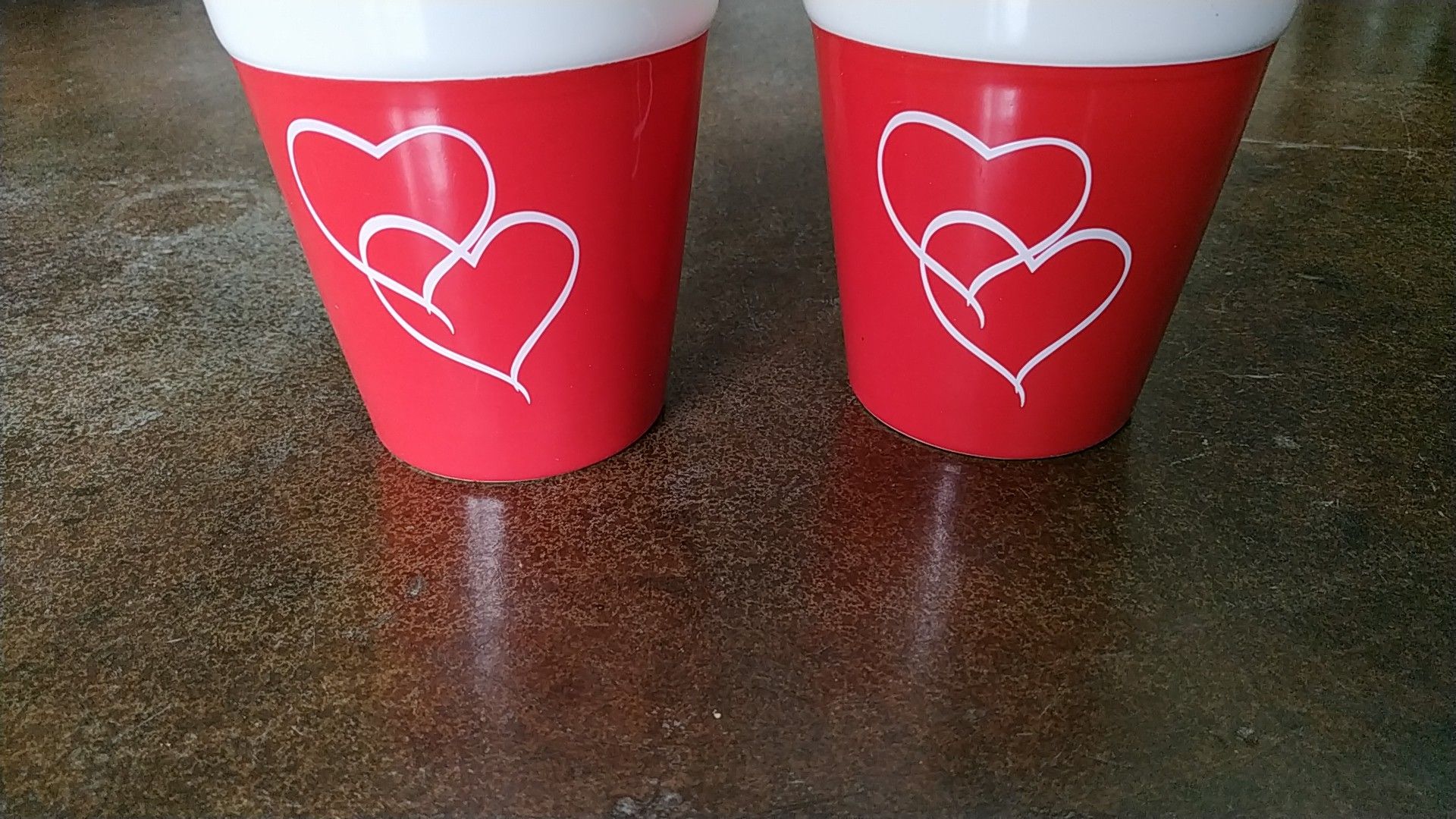 $5 set of 2 decorative ceramic pot editable arrangements