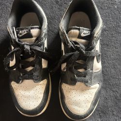 Ps Nike Dunks 