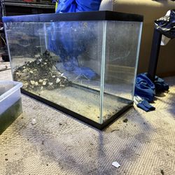 Two 29 Gallon Tanks