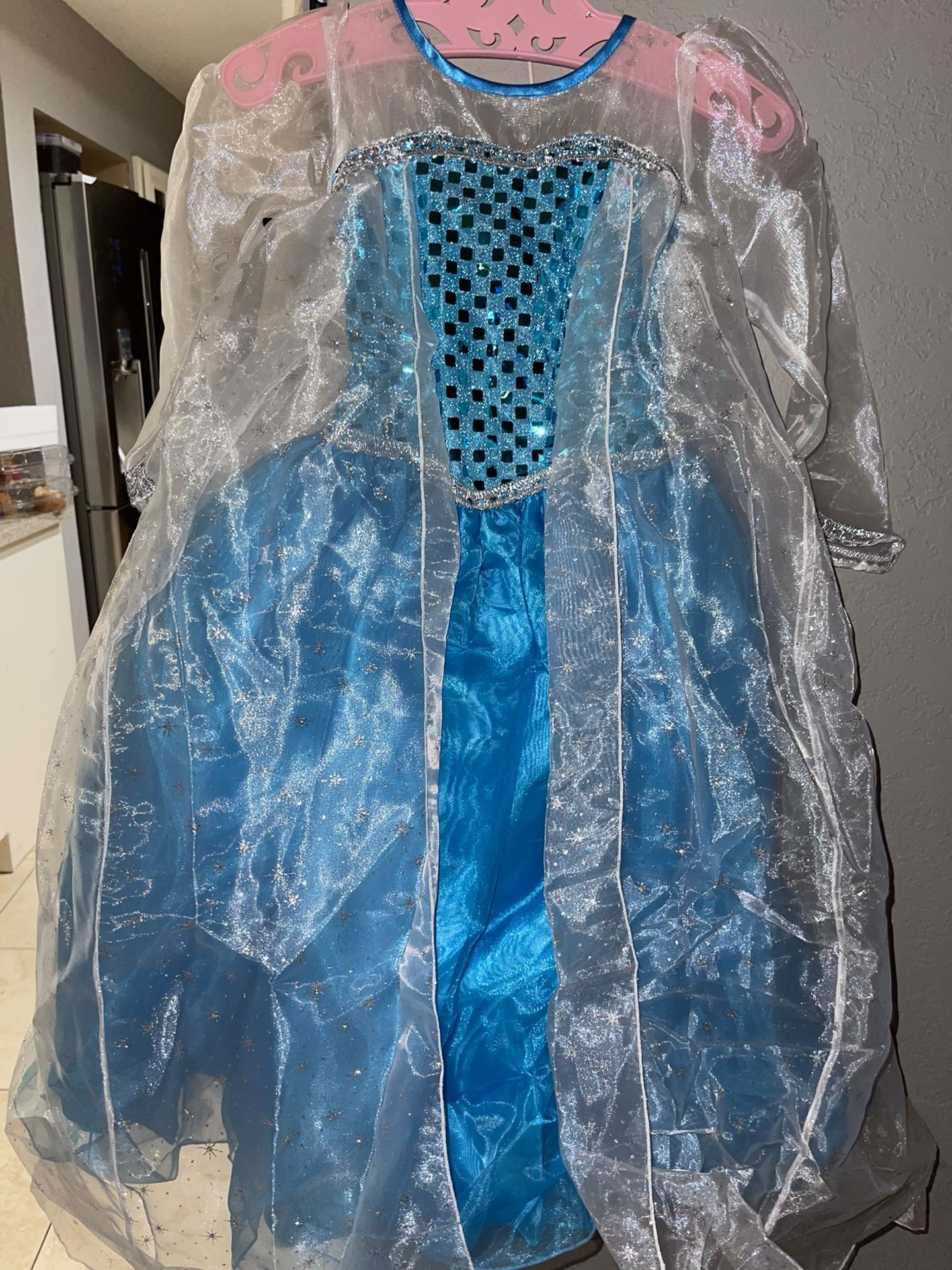 Elsa Costume/dress
