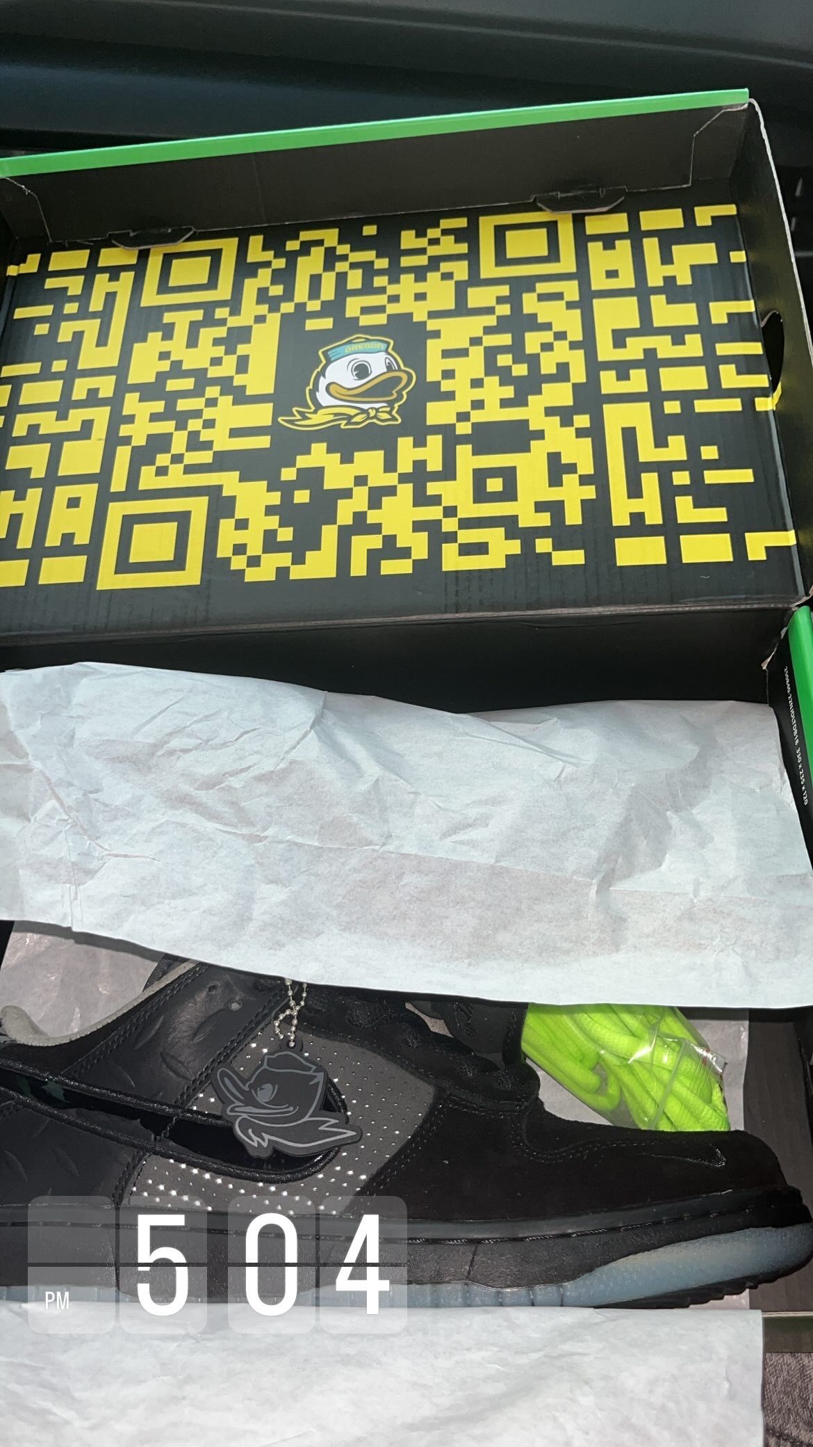 Oregon All Black Dunks (worn)