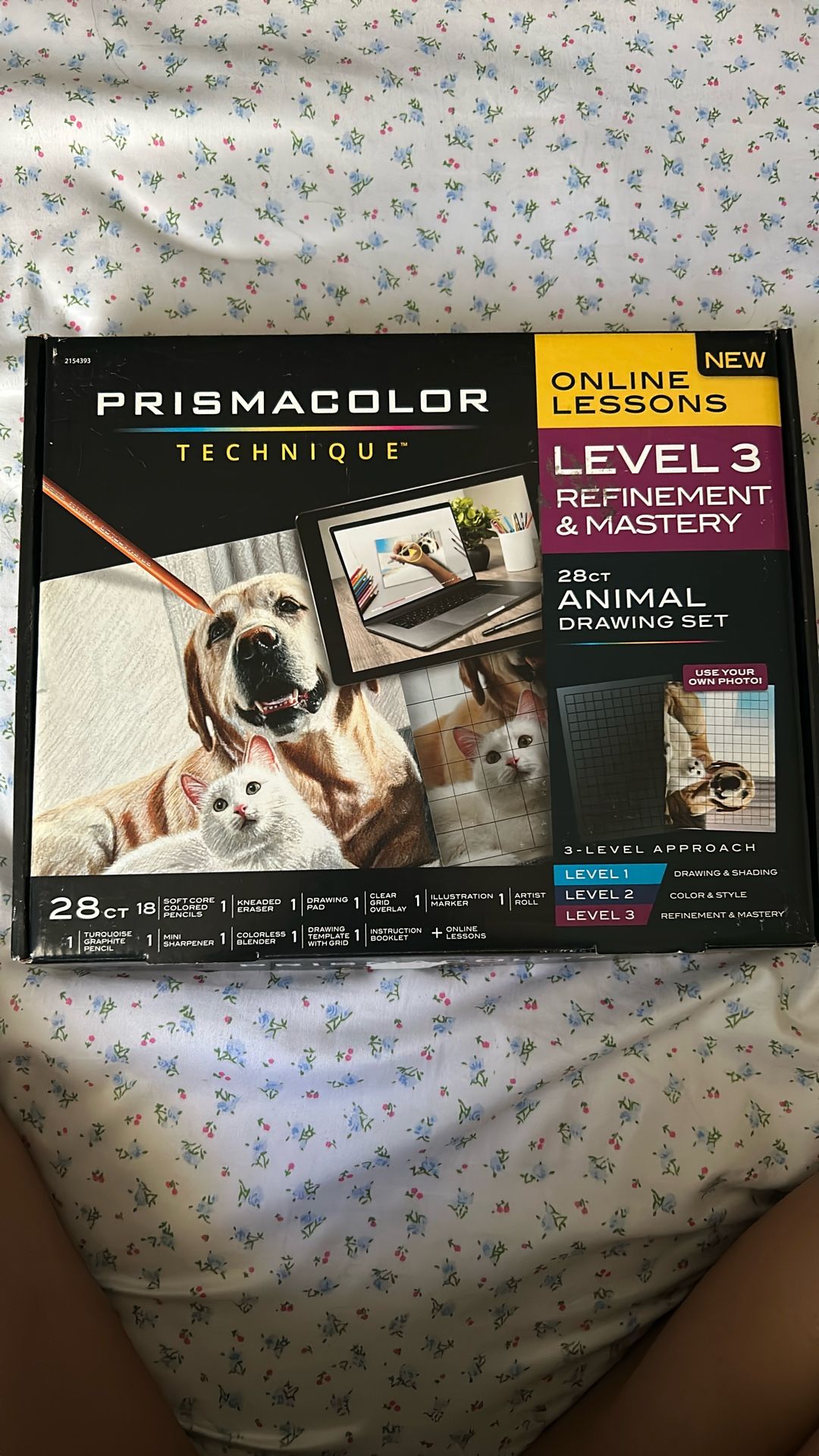 Prismacolor Technique