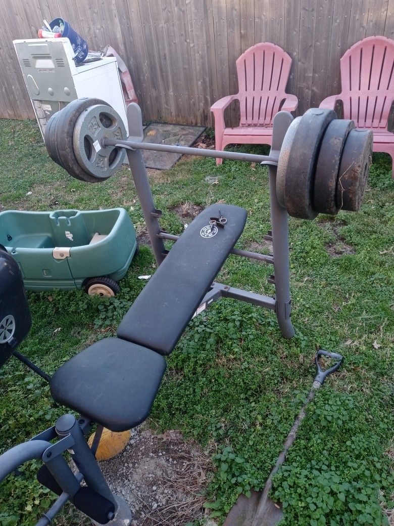 Weights And Bench