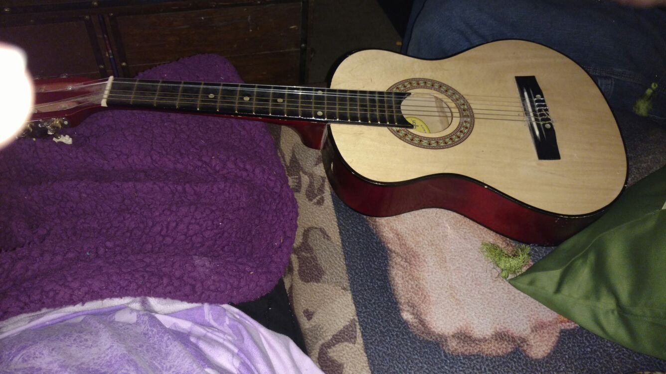 Little lyon guitar outlet
