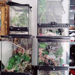 Reptile Cage And Toy Gecko Included 