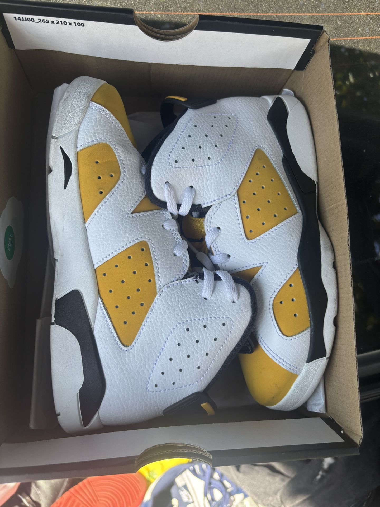 Retro Jordan’s 6’s 