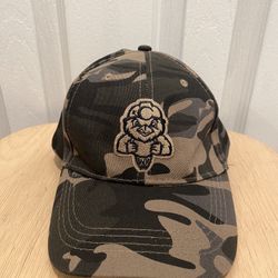 Charleston WV Minors Baseball Cap Dirty Birds, Camo , WSAZ News Channel