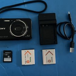 Excellent Sony Cyber-shot DSC-WX9 Camera - 16.2MP, 5x Opt Zoom, w/bundle