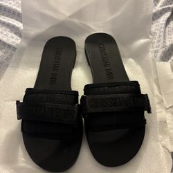 DIOR Slides