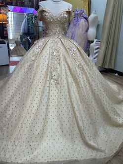 Champagne Ball Gown with Floral Appliqués