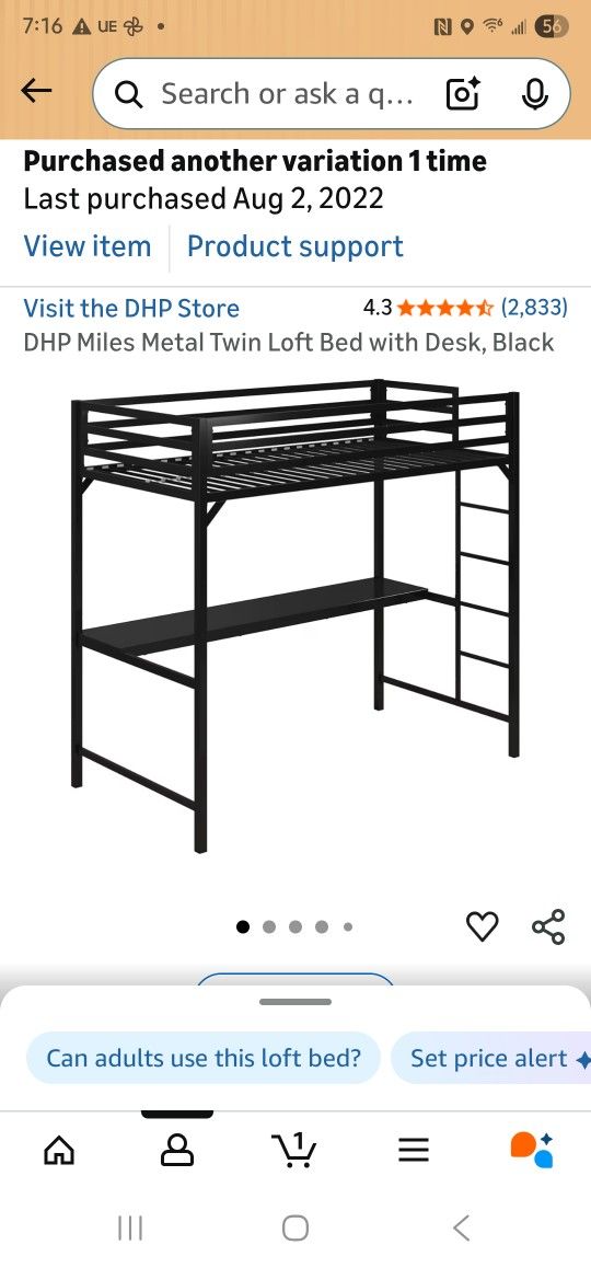DHP Metal Twin Loft Bed with Desk, Silver