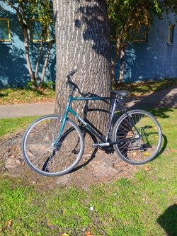 Trek multitrack 700