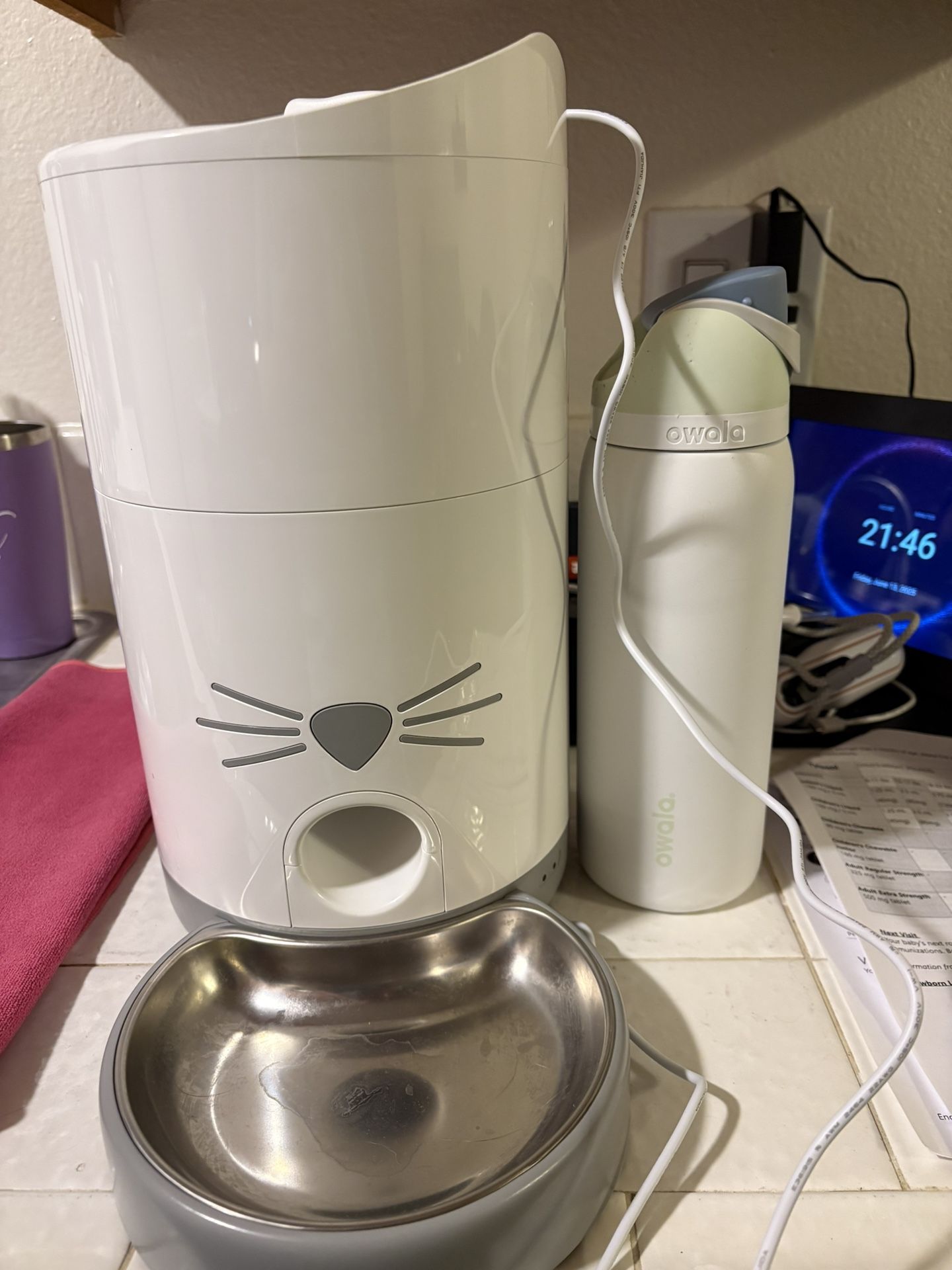 Pixie Automatic Cat Feeder