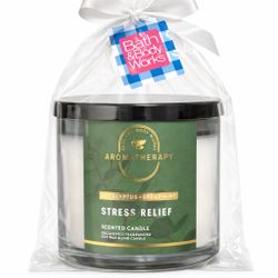 Eucalyptus Spearmint - 3 Wick Candle 