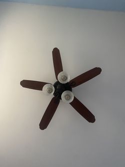Ceiling Fan