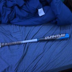 Easton Quantum 31 inches drop 3