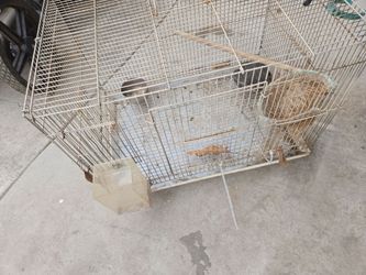 Bird cage