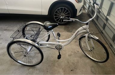 Tricycle bike