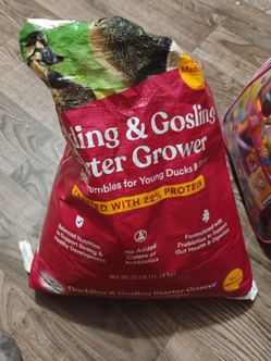 Duck feed