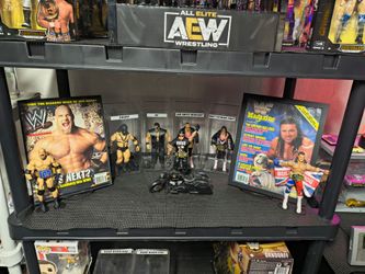 WWE action figures
