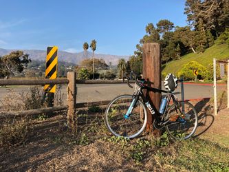 2017 Ritte Vlaanderen, L 58cm, blue colorway