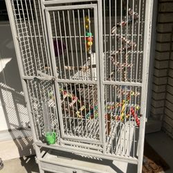 Cockatiel Cage Bird Cage