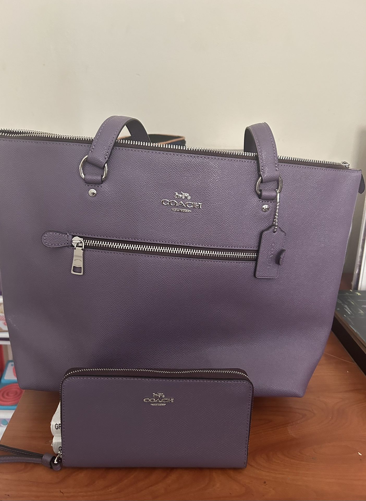 Coach Bag & Wallet