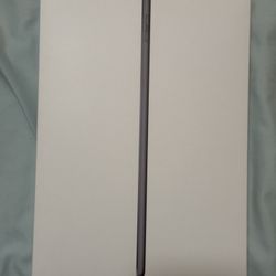 Apple iPad