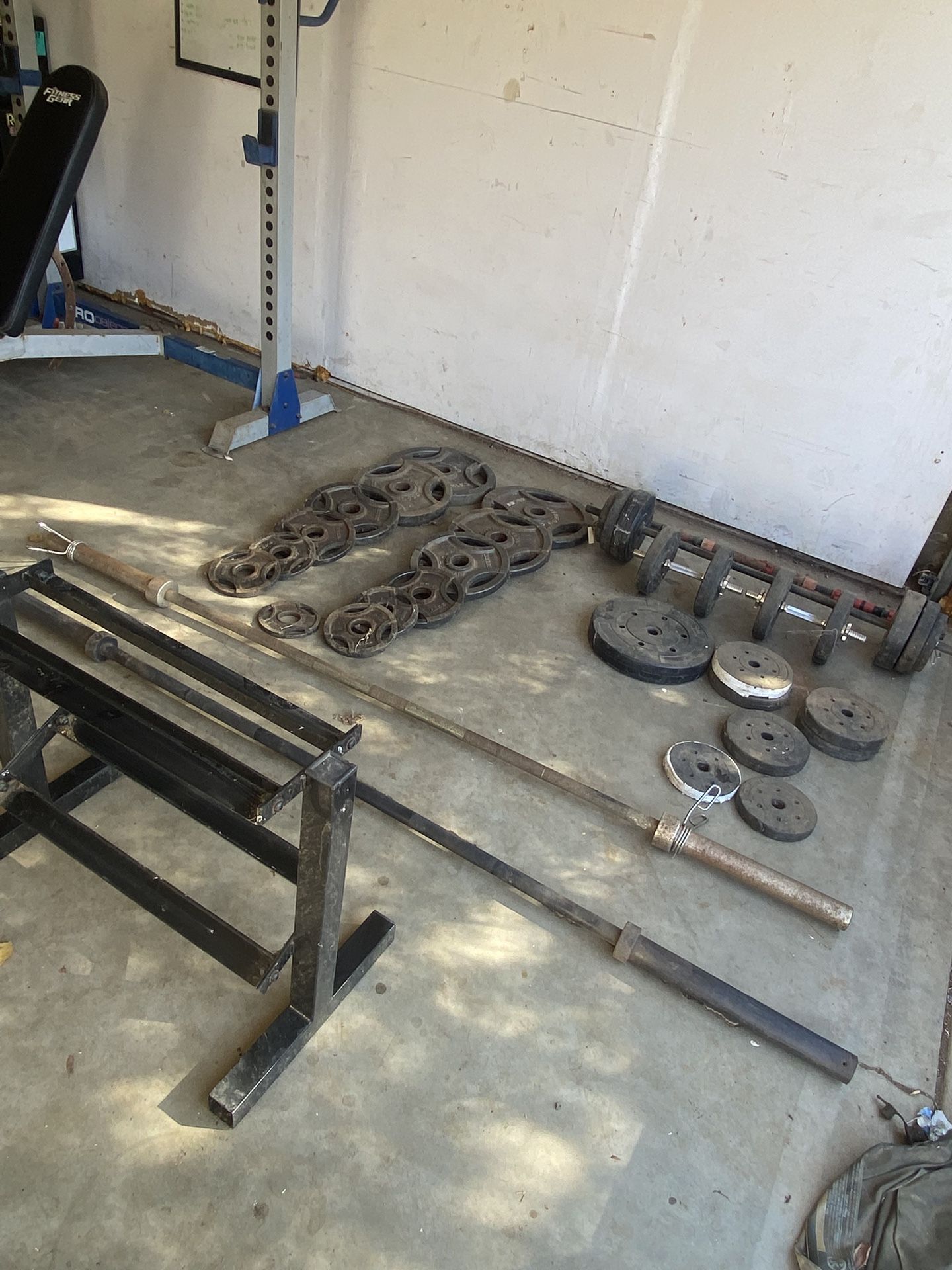 Weight/ Weights/ Bench / Weight Bench 
