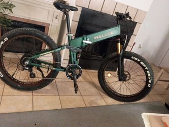 Missing 👉( controller ) 48v 20ah 2000w Wallke ebike