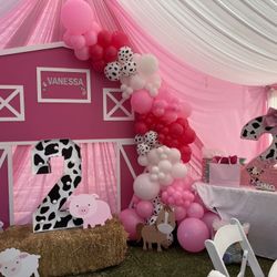 Pink Barn Backdrop 