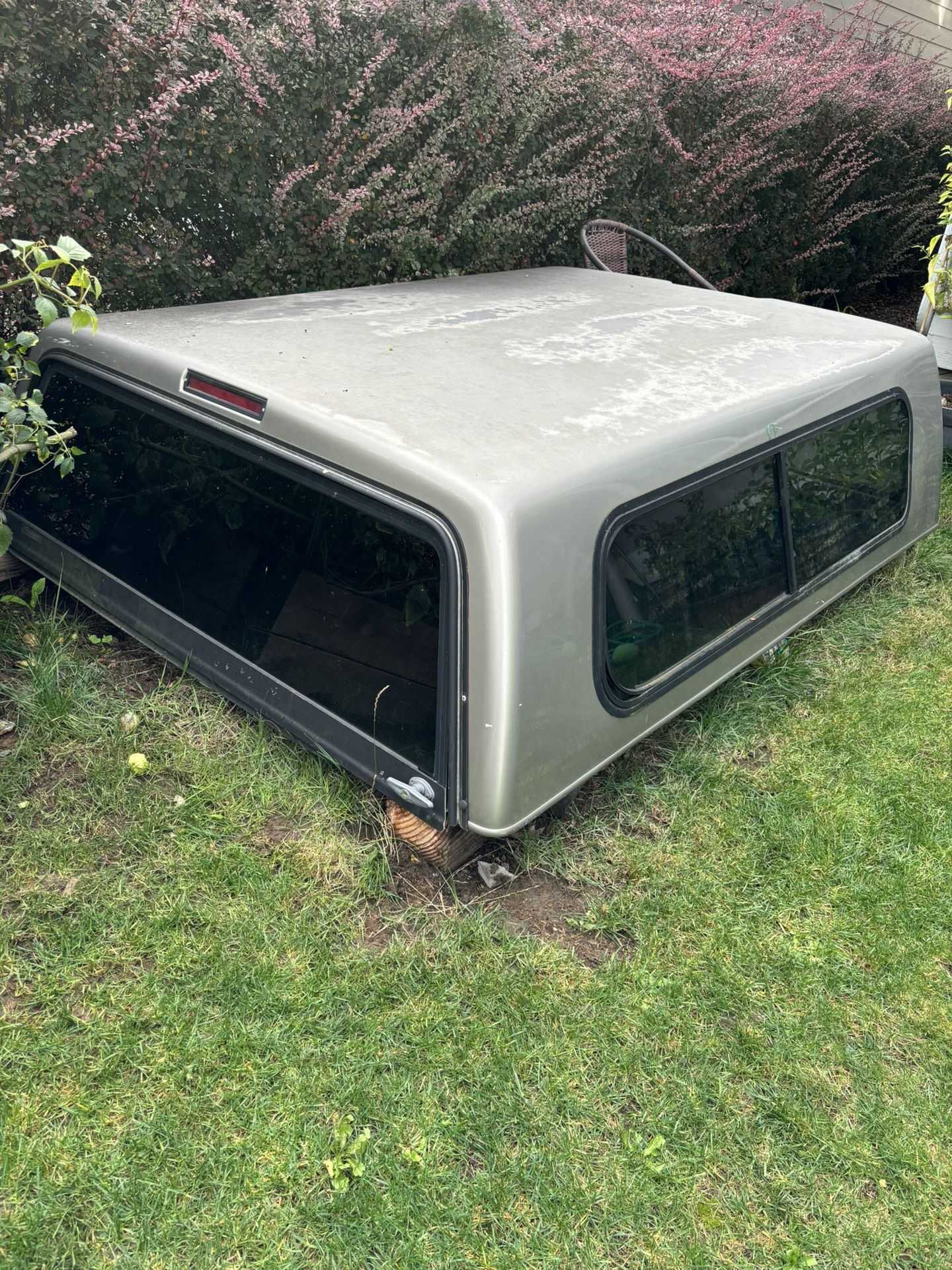 FREE OBS Canopy