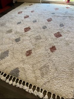 Beautiful Shag Rug