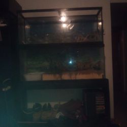 100 Gallon Fish Tank 50 In 