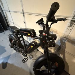 Engwe Electric Bike