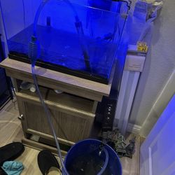 10 Gallon Fish Tank (OBO)