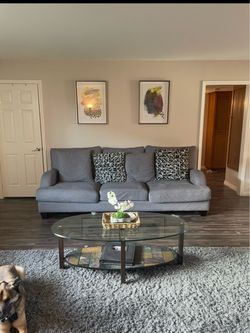 Gray area rug