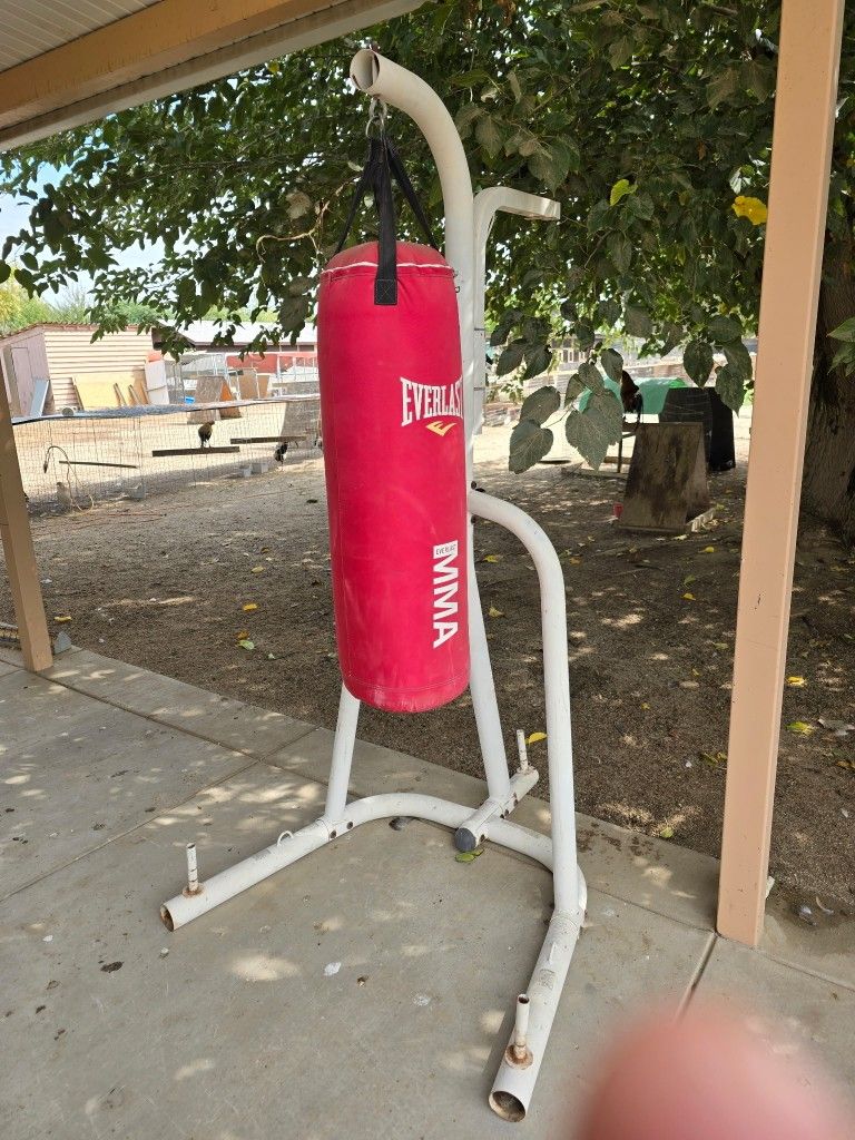 EVERLAST BAG AND STAND 