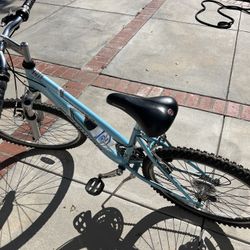 Mountain Bike 