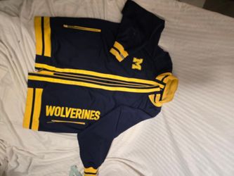 Michigan Wolverines (University of Michigan)
