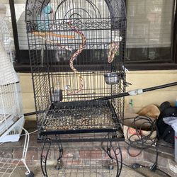 Parrot Bird Cage 